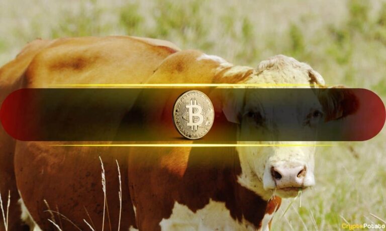 Bitcoin Market Structure Continues to Improve as Bullish Undertones Build: Glassnode